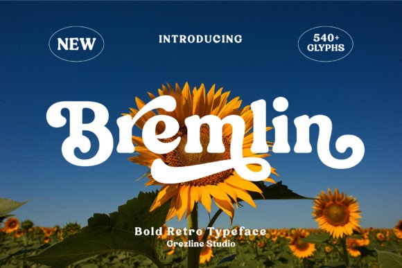 Bremlin: The Bold Retro Font for Modern Groovy Designs